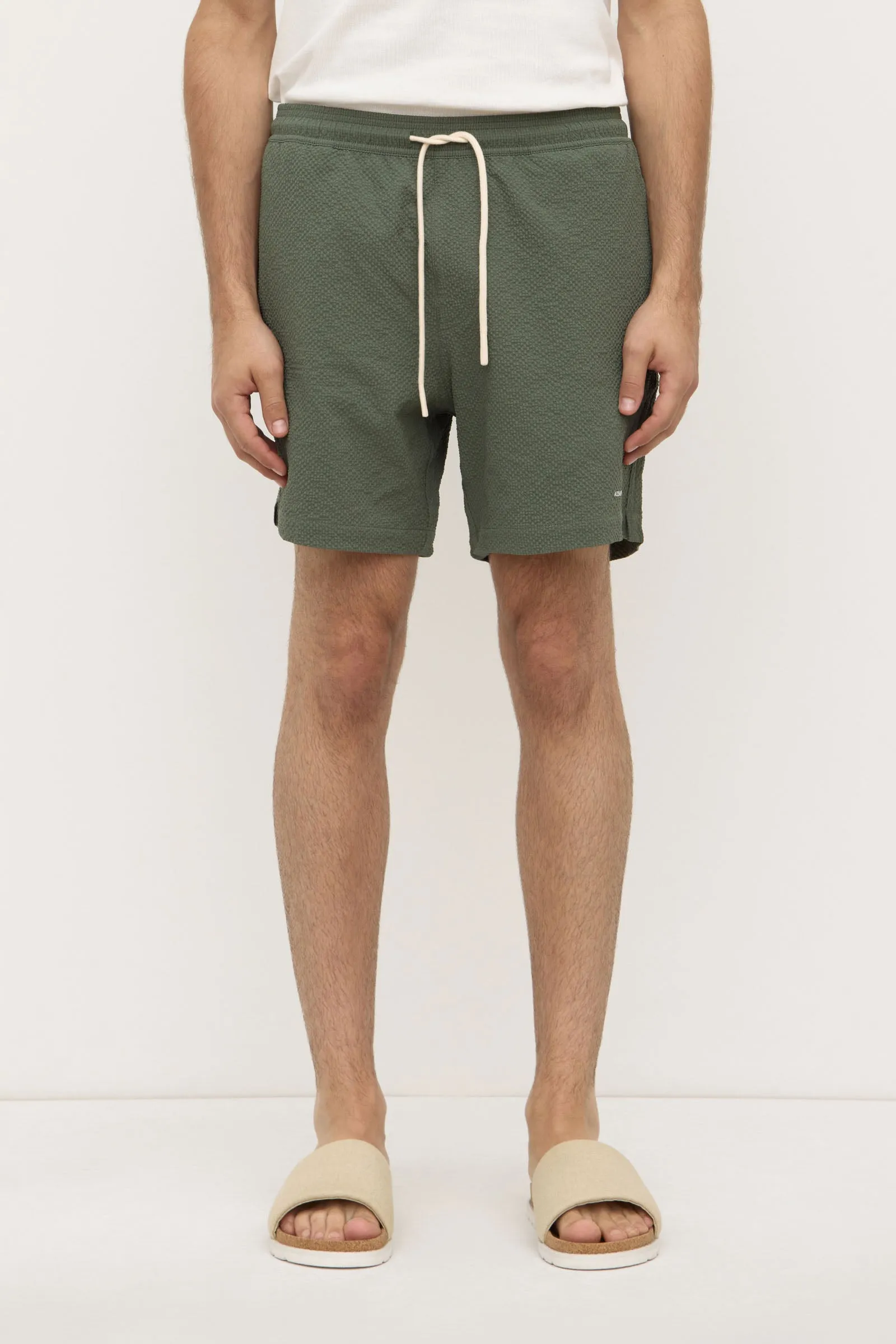 Seth Swim Short Comfortable Stretch