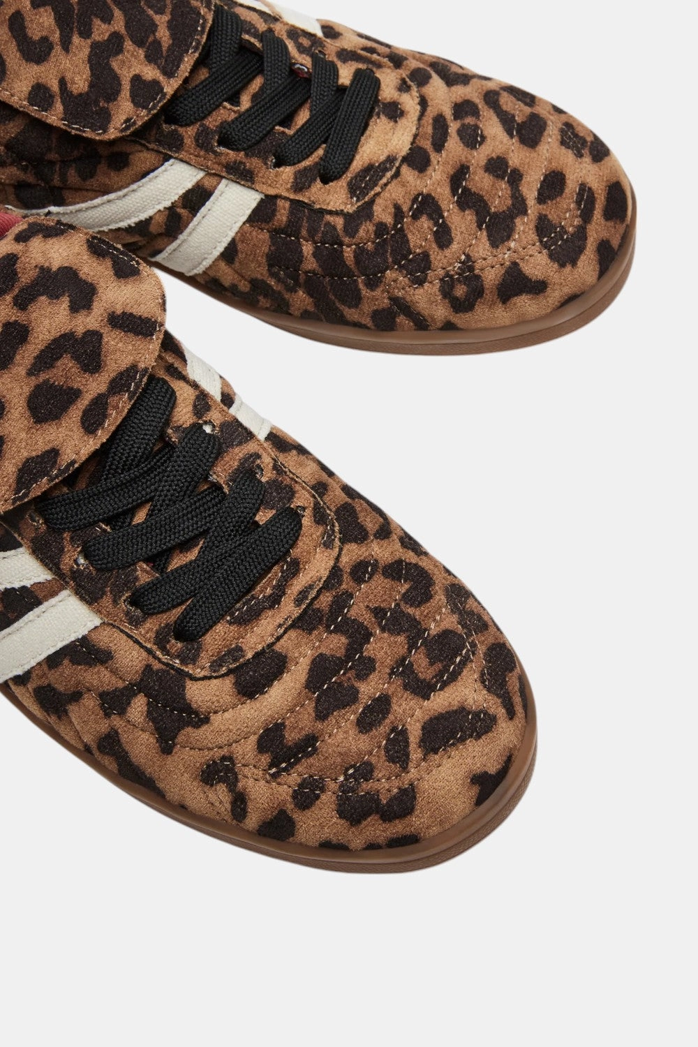 StainResistant Steve Madden Madrid Leopard Low-Top Sneaker
