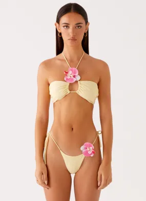 Carmira Bikini Bottoms - Yellow Rubberized grip Eco Friendly Dye Process