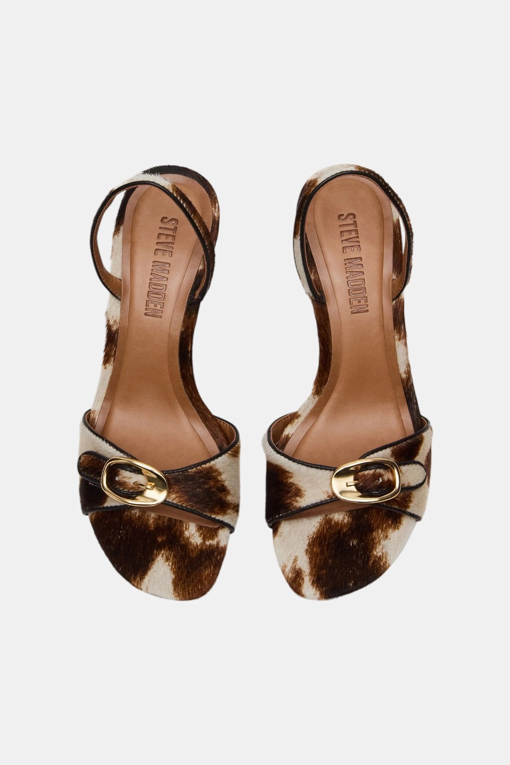 Subtle Shine Steve Madden Henrietta in Brown Cow Print