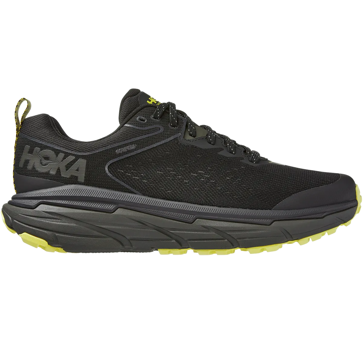 Men's Challenger ATR 6 GTX Hollow Core Technology