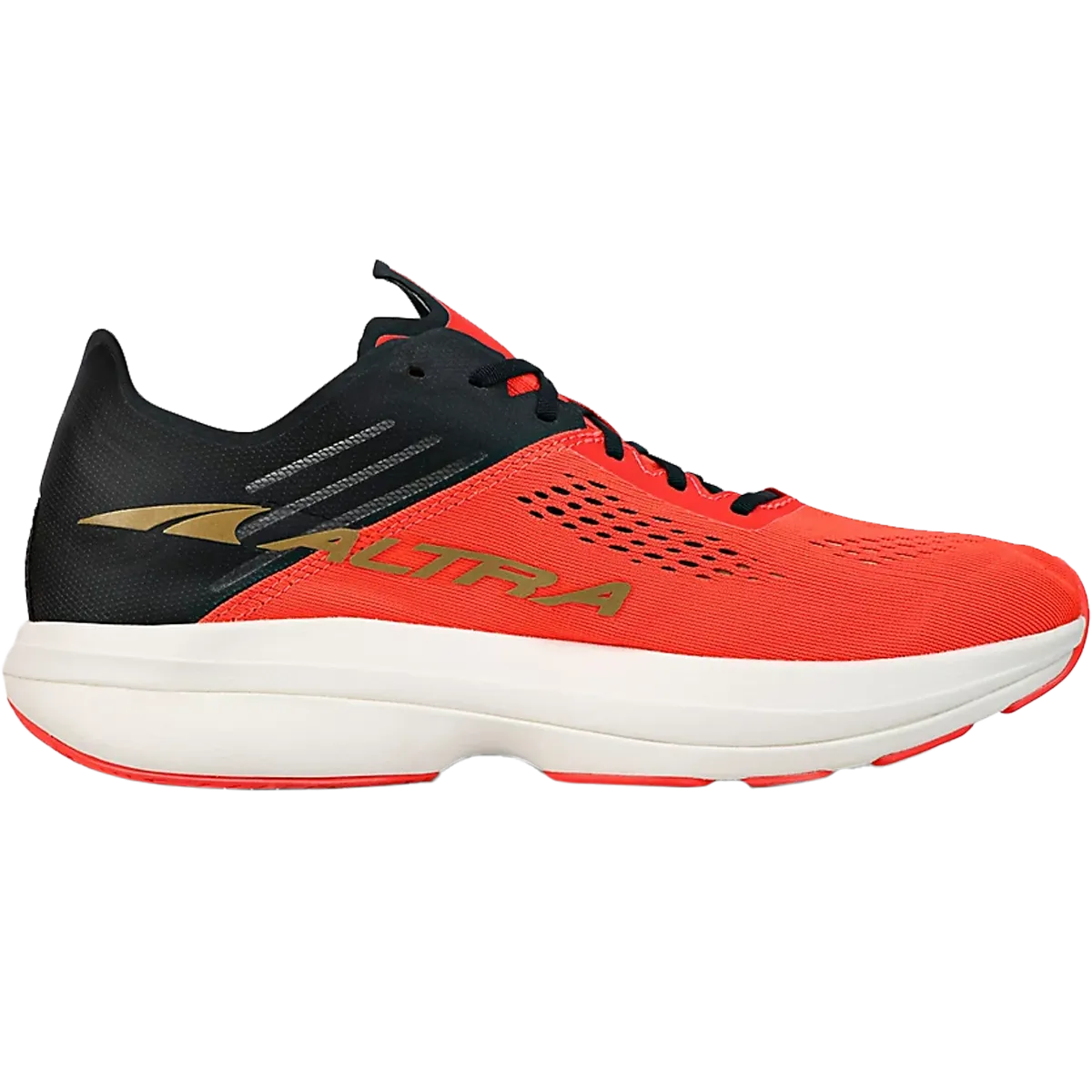 Men's Vanish Carbon fitness shoe items fartlek runs