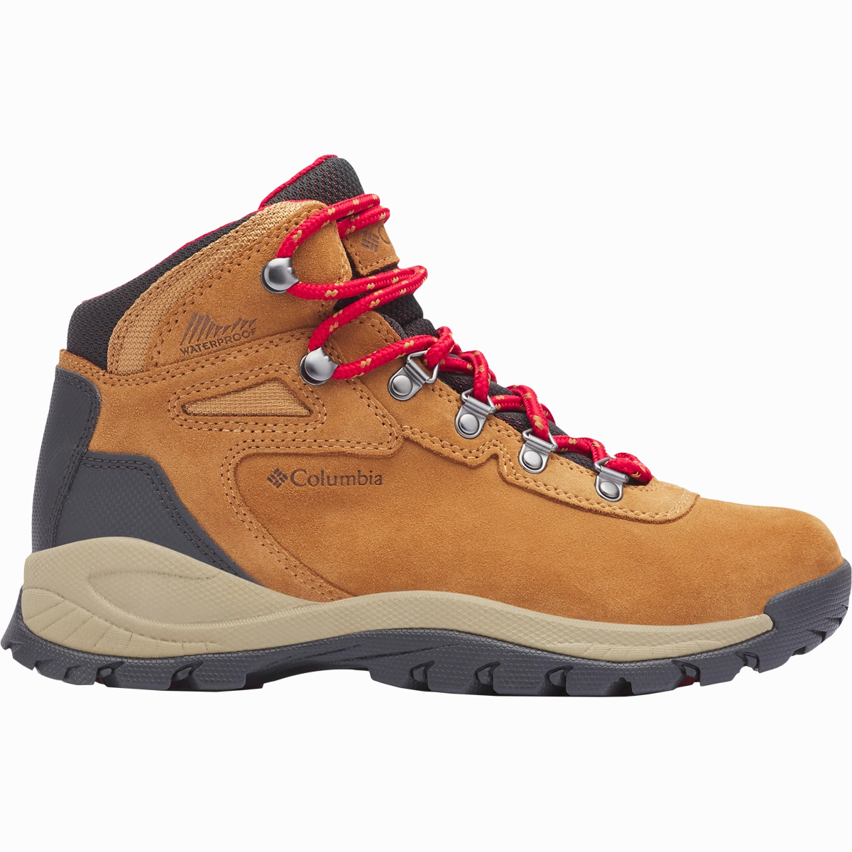 High Traction All Day Worker Women's Newton Ridge Plus Waterproof Amped
