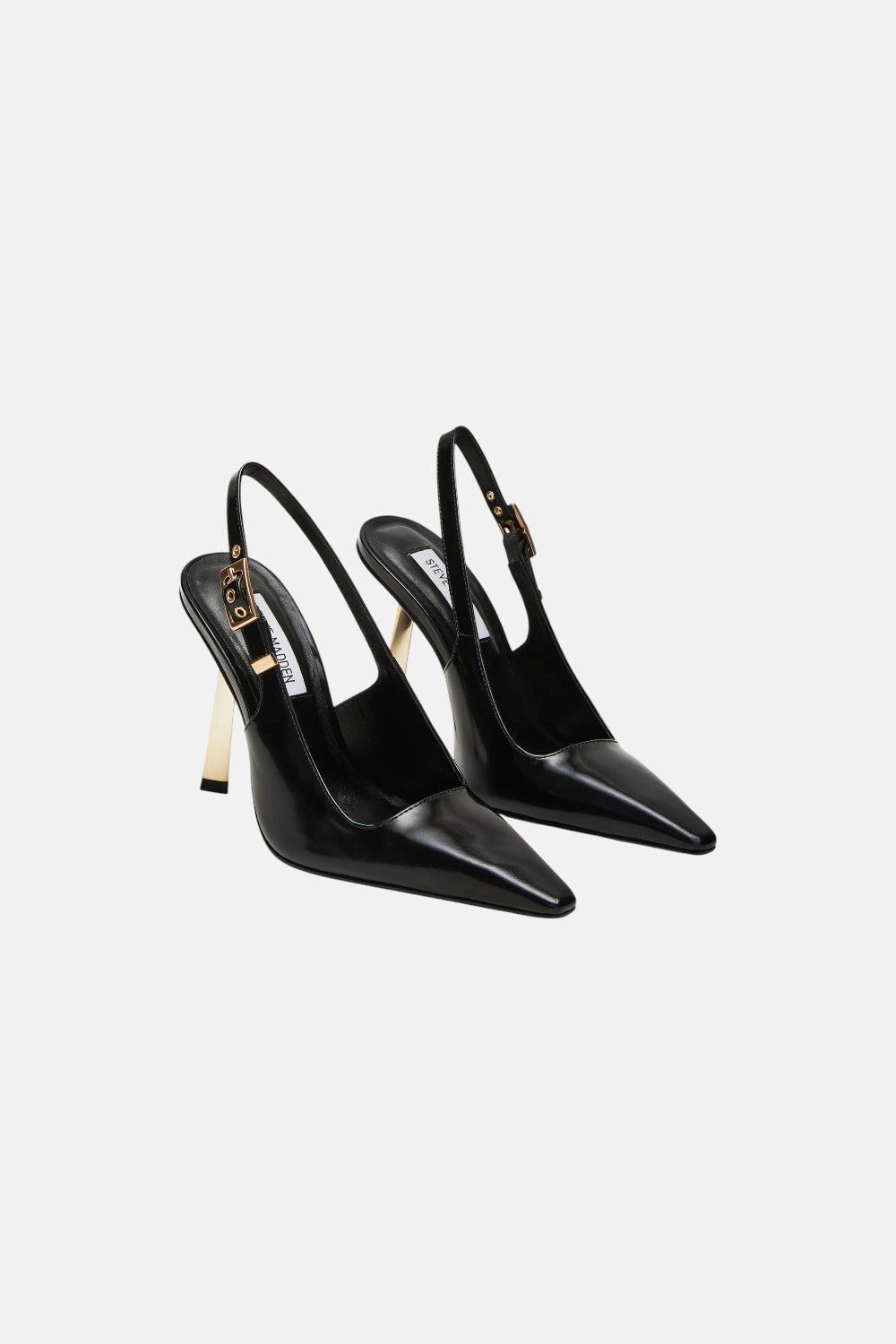 Cushioned heel Steve Madden Divine Pump in Black Leather