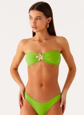Playful-Look Abrasion Resistant Panels Taiwan Bandeau Bikini Top - Citrus