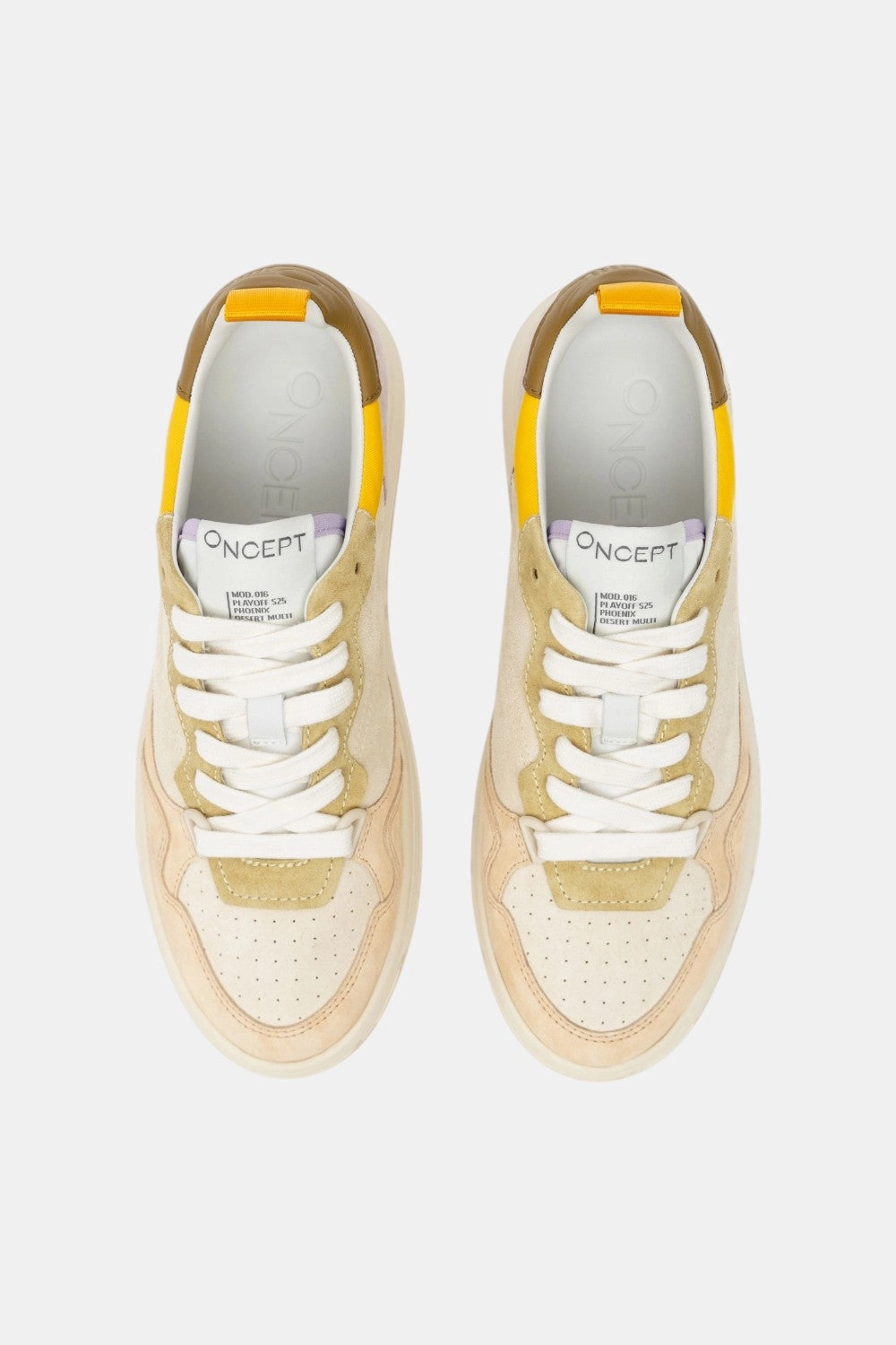 Oncept Phoenix in Desert Multi Stability Focus